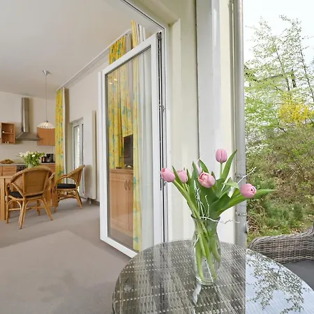 Celia Sellin (Rugen)